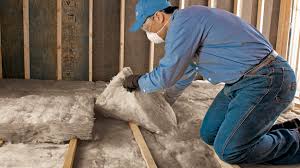 Best Wall Insulation Installation  in Cocoa Beach, FL